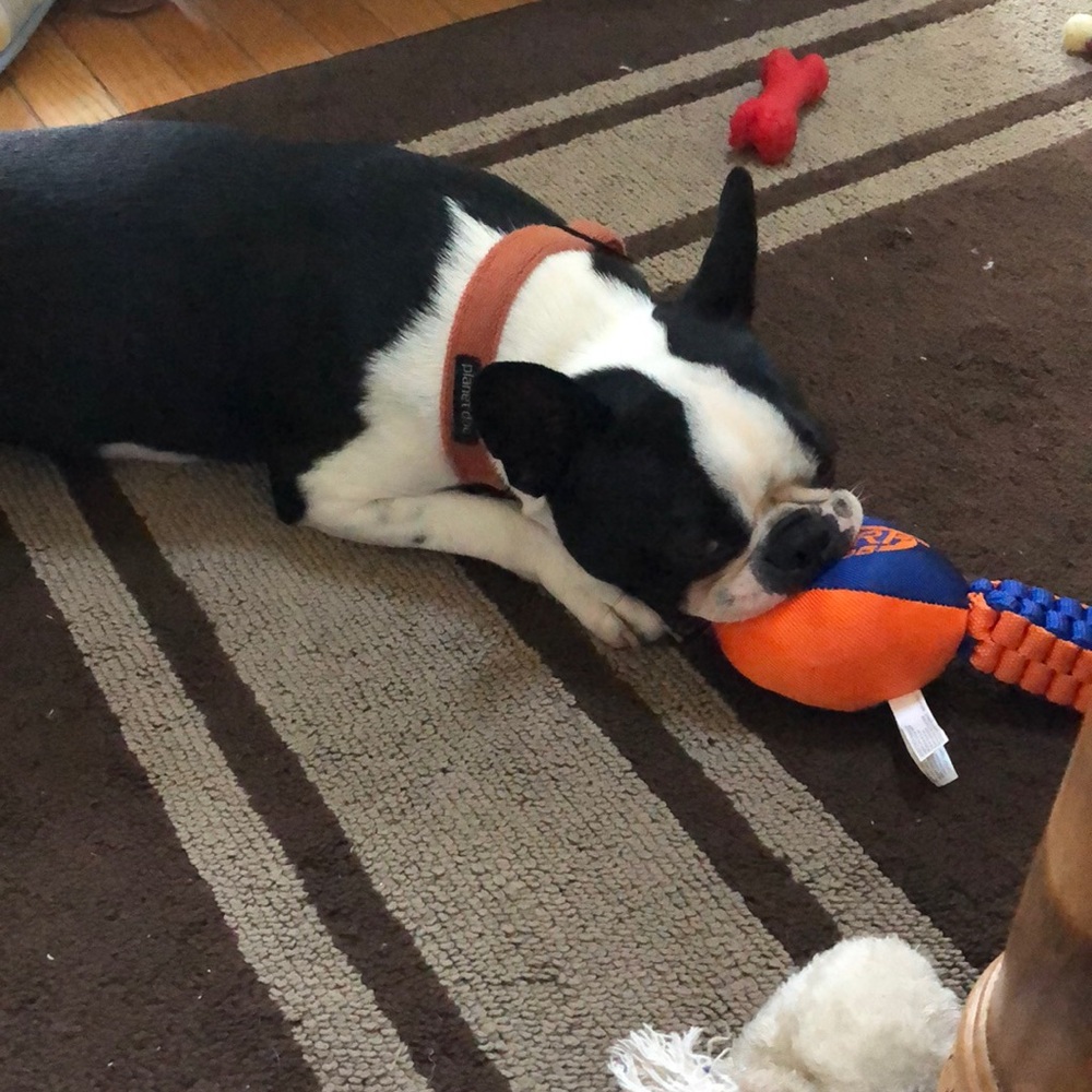 Meet your Posher, Kristy